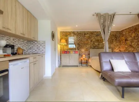 Studio 30 m² avec terrasse et vue montagne à Moltifao : photo 4