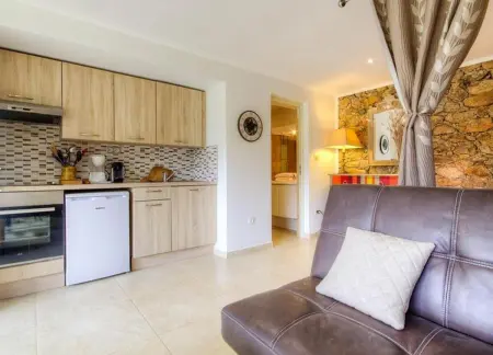 Studio 30 m² avec terrasse et vue montagne à Moltifao : photo 7