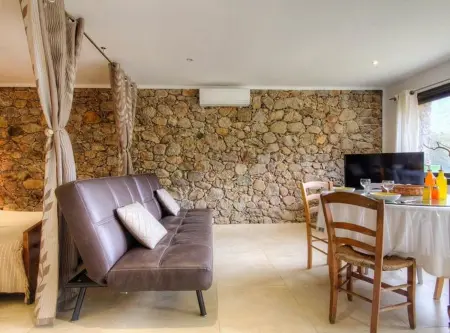 Studio 30 m² avec terrasse et vue montagne à Moltifao : photo 10