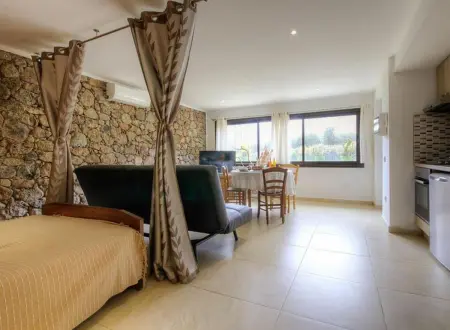 Studio 30 m² avec terrasse et vue montagne à Moltifao : photo 13