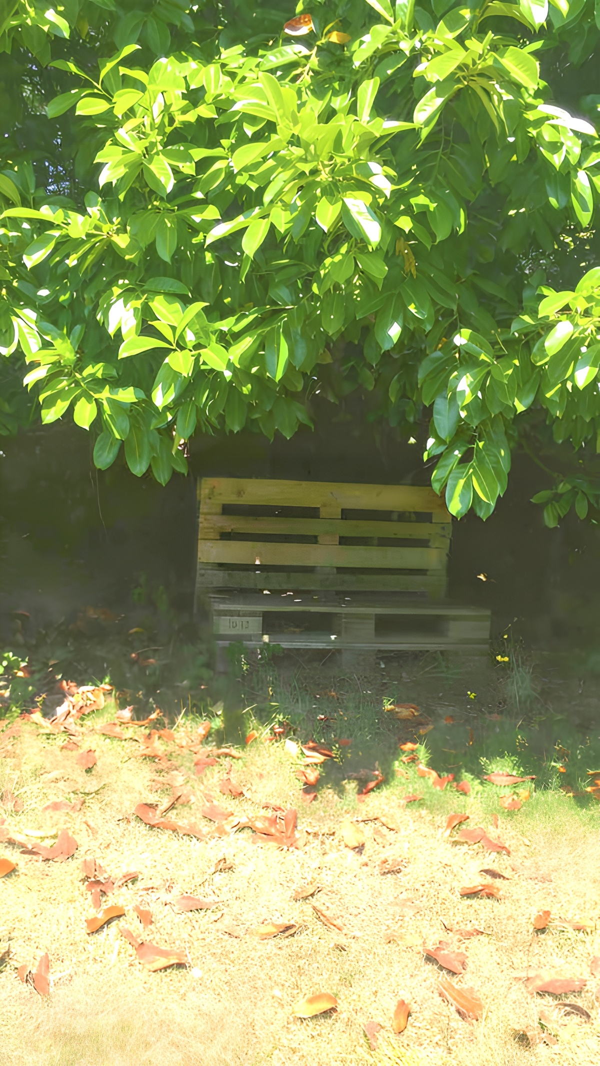 Studio 20 m² avec jardin clos à Plouédern - Photo 10