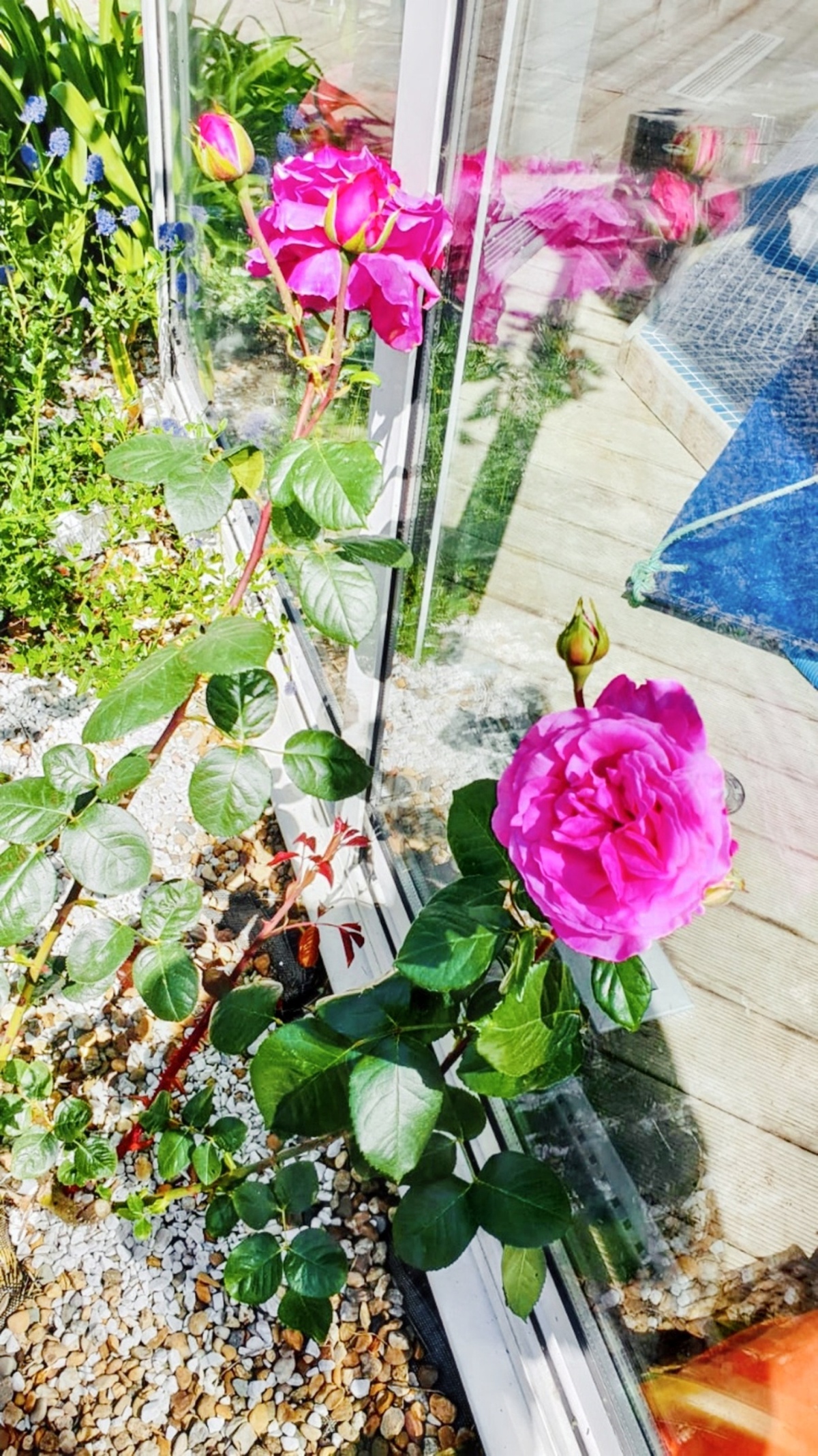 Studio 20 m² avec jardin clos à Plouédern - Photo 12
