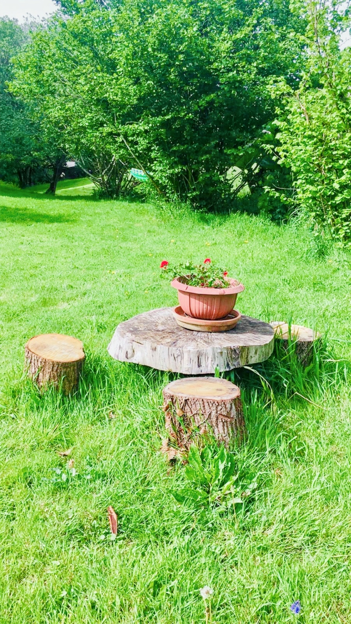 Studio 20 m² avec jardin clos à Plouédern - Photo 16
