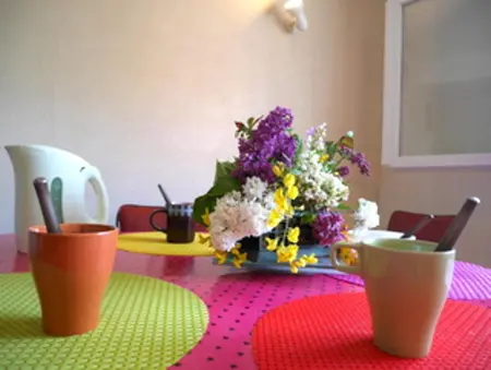 Maison charmante à Aignes avec jardin et barbecue - Photo 3