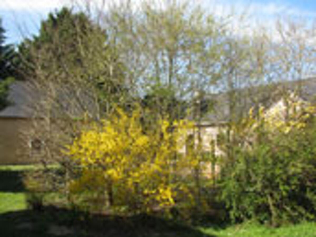 Maison 220 m² pour 13 personnes, 5 chambres avec jardin - Photo 16