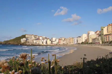 Appartement 3 chambres avec vue mer et jardin à Malpica : photo 32