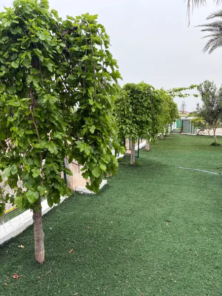 Villa spacieuse avec piscine près de la plage à Alicante - Photo 106