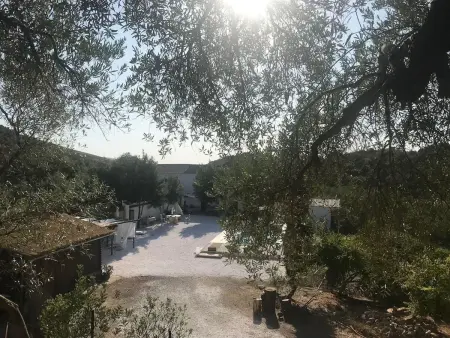 Bungalow avec piscine privée et jardin clôturé à Madrigueras : photo 14