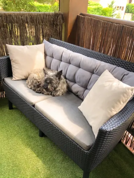 Appartement 40 m² avec terrasse et vue jardin à Saint-Julien-en-Born : photo 7