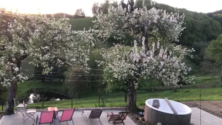 Maison avec jardin clos et vue montagne à Sainte-Croix-aux-Mines : photo 3