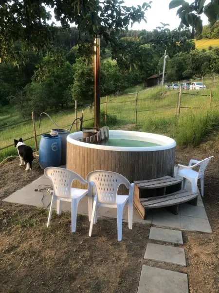 Maison avec jardin clos et vue montagne à Sainte-Croix-aux-Mines : photo 14