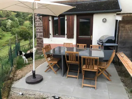 Maison avec jardin clos et vue montagne à Sainte-Croix-aux-Mines : photo 28