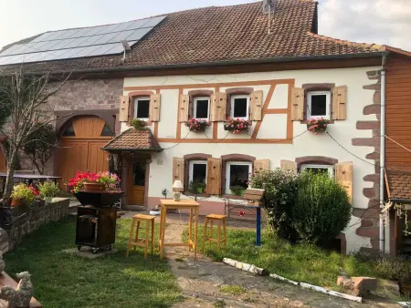 Maison avec jardin clos et vue montagne à Sainte-Croix-aux-Mines : photo 44