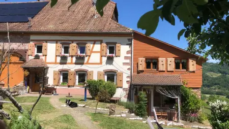 Maison avec jardin clos et vue montagne à Sainte-Croix-aux-Mines : photo 45