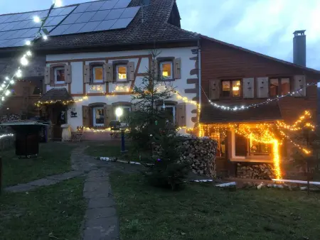 Maison avec jardin clos et vue montagne à Sainte-Croix-aux-Mines : photo 46