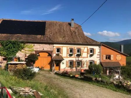 Maison avec jardin clos et vue montagne à Sainte-Croix-aux-Mines : photo 49
