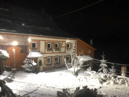 Maison avec jardin clos et vue montagne à Sainte-Croix-aux-Mines : photo 50