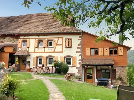 Maison avec jardin clos et vue montagne à Sainte-Croix-aux-Mines : photo 51