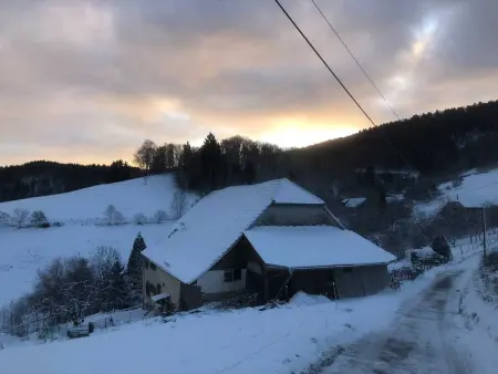 Maison avec jardin clos et vue montagne à Sainte-Croix-aux-Mines : photo 53