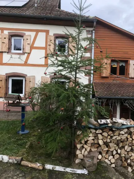 Maison avec jardin clos et vue montagne à Sainte-Croix-aux-Mines : photo 55
