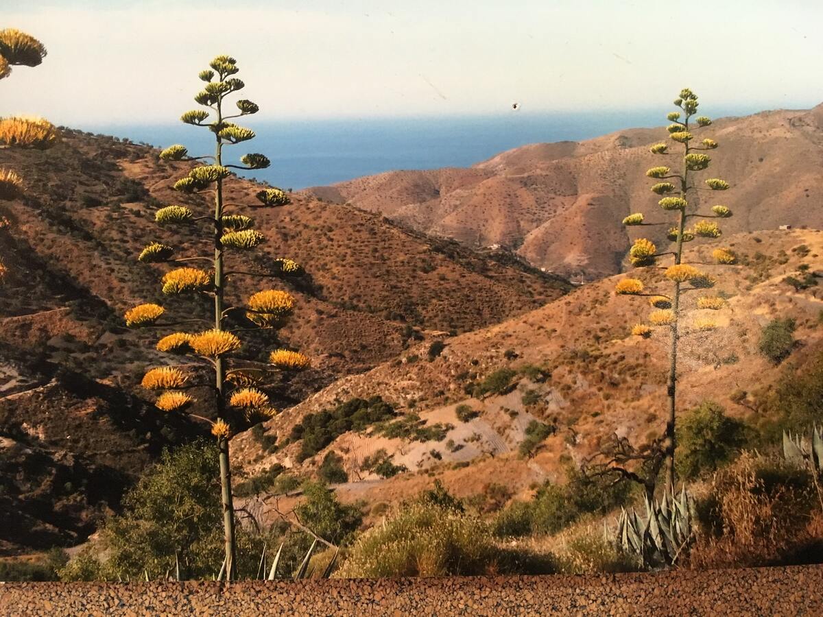 Maison 6 chambres à Albuñol, 10 personnes avec terrasse - Photo 20
