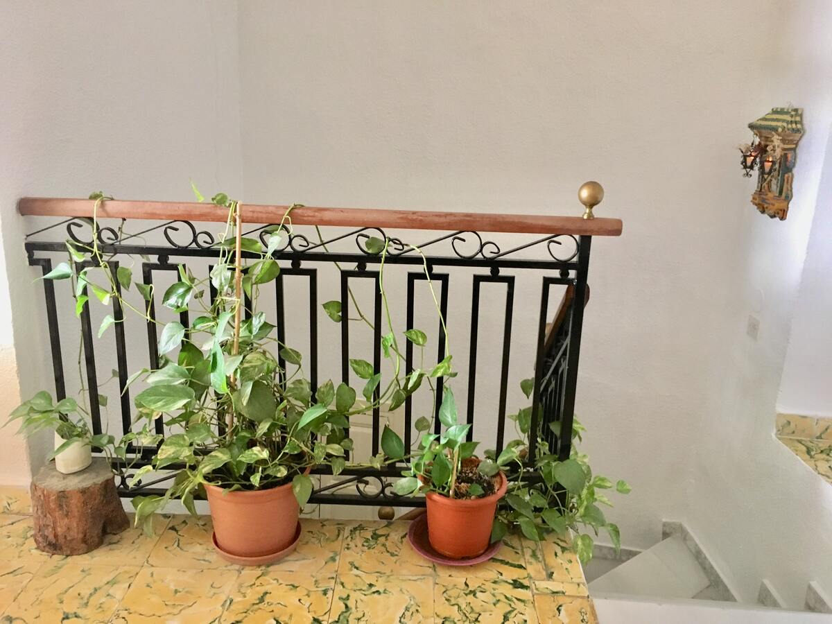 Maison 6 chambres à Albuñol, 10 personnes avec terrasse - Photo 43