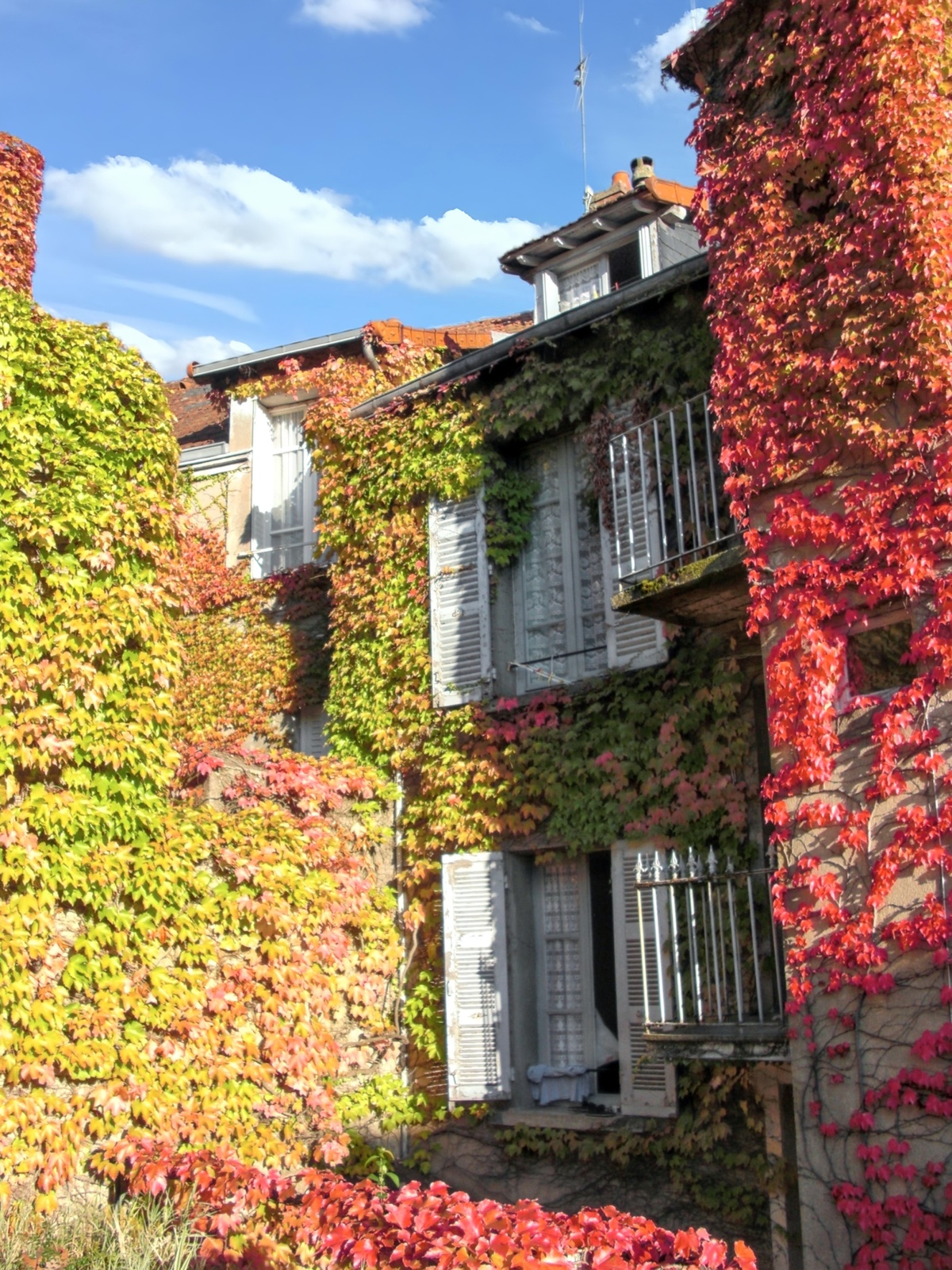 Studio 18 m² avec jardin clôturé à Néris-les-Bains - Photo 7