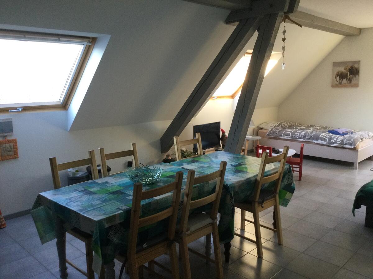 Appartement 60 m² avec terrasse, jardin et borne électrique - Photo 6