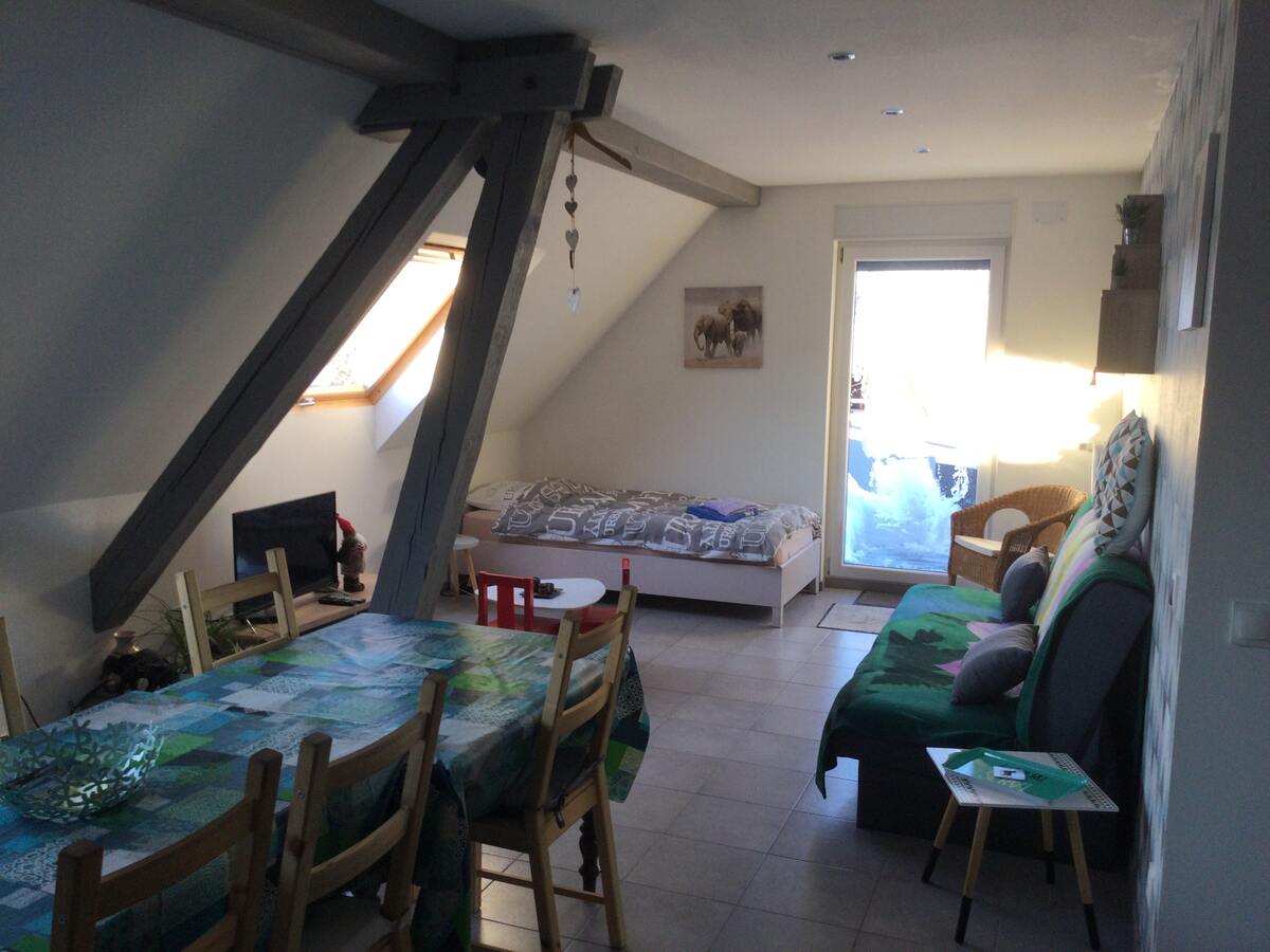 Appartement 60 m² avec terrasse, jardin et borne électrique - Photo 7