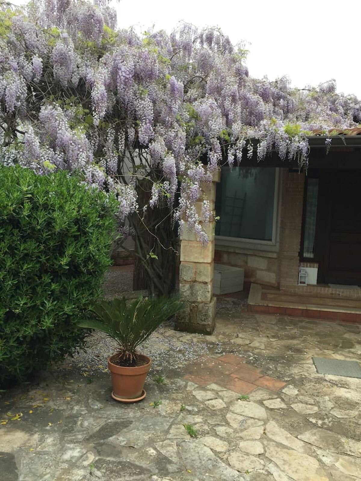 Villa 8 pers. avec piscine privée à San Vito dei Normanni - Photo 28