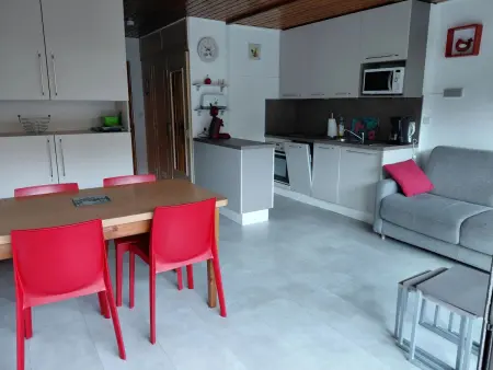 Studio accueillant à Les Carroz, 27 m², vue montagne - Photo 30