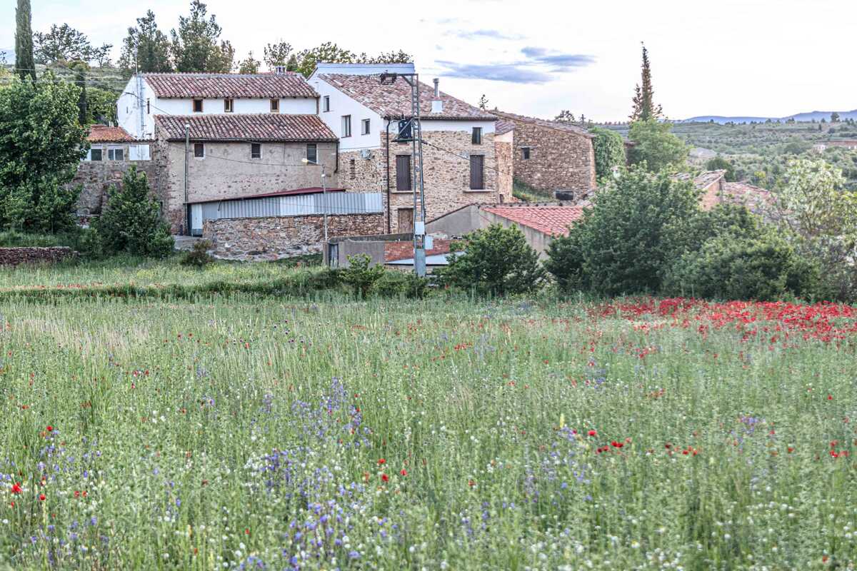 Maison 6 chambres avec vue montagne et jardin à Albentosa - Photo 14