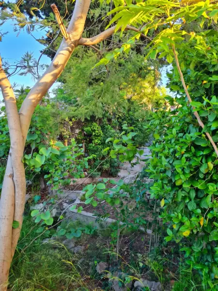 Maison avec jardin clôturé et vue mer à Sète, 4 personnes : photo 16
