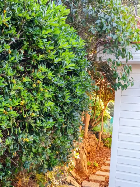 Maison avec jardin clôturé et vue mer à Sète, 4 personnes : photo 17