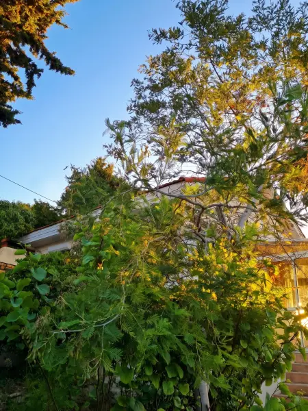 Maison avec jardin clôturé et vue mer à Sète, 4 personnes : photo 18