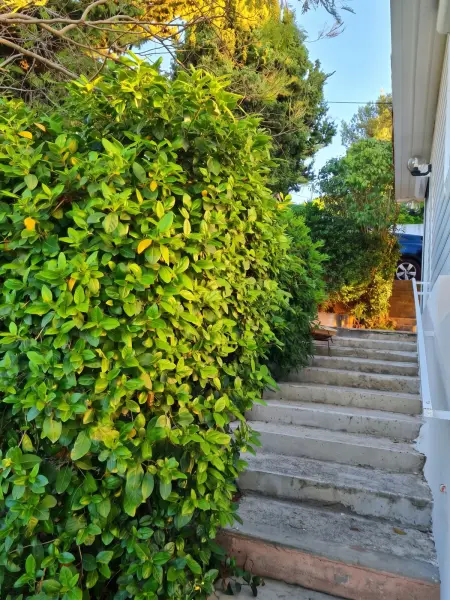 Maison avec jardin clôturé et vue mer à Sète, 4 personnes : photo 19