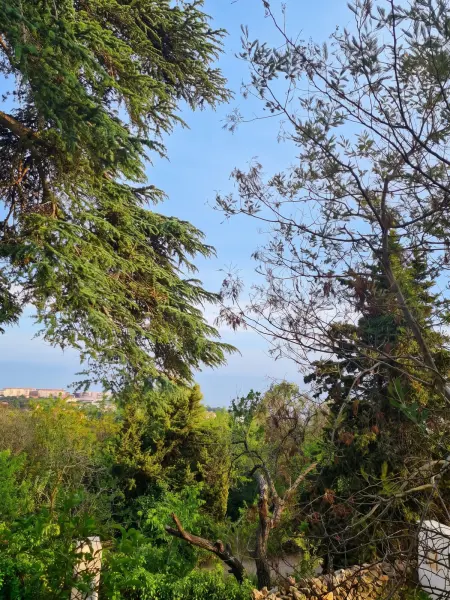 Maison avec jardin clôturé et vue mer à Sète, 4 personnes : photo 20