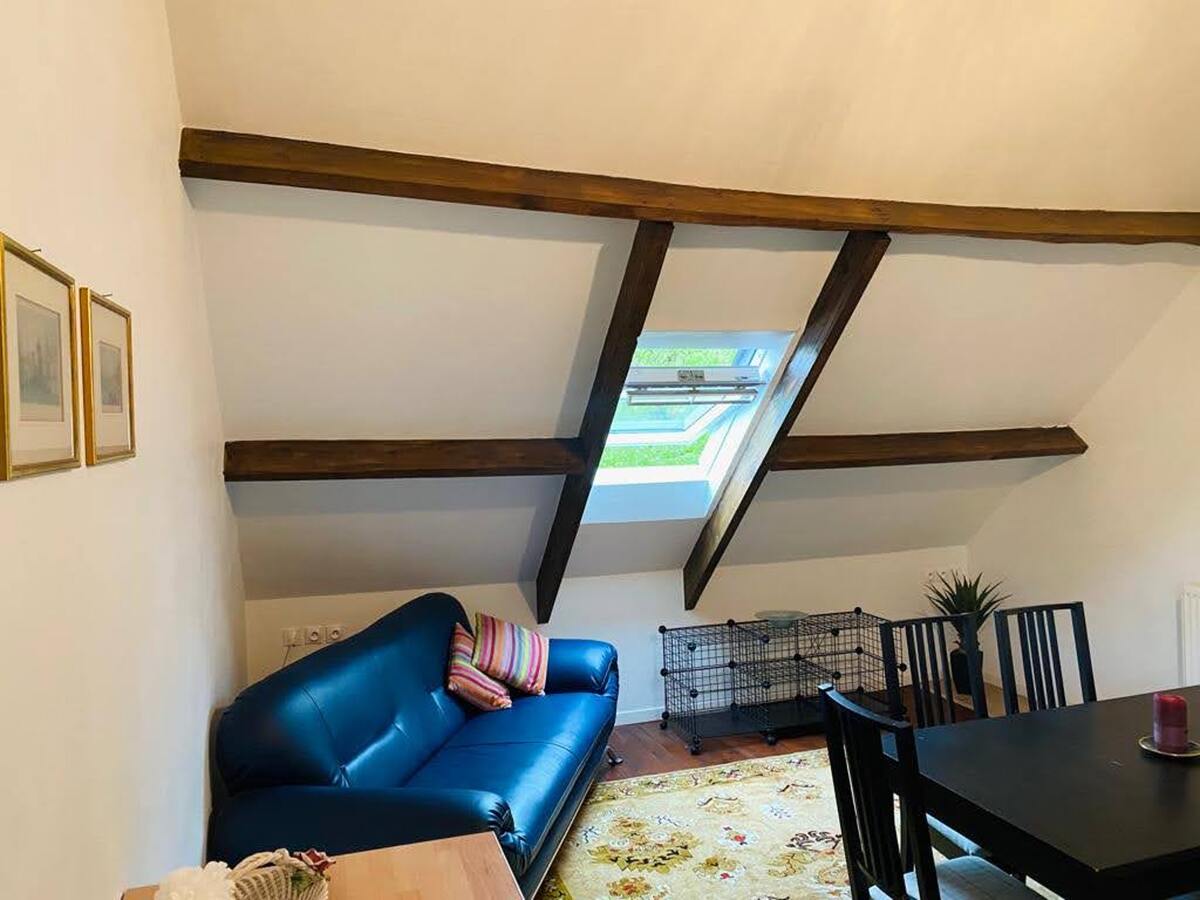Appartement 3 chambres Orgnac-sur-Vézère, jardin clôturé - Photo 8