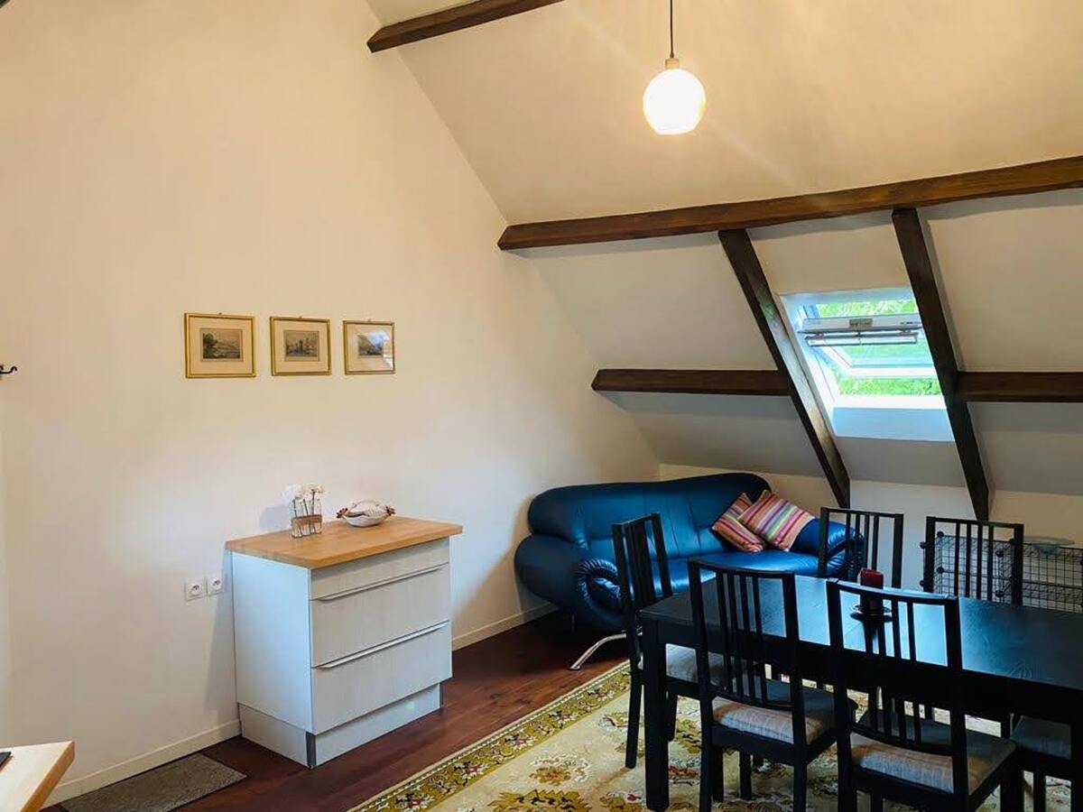 Appartement 3 chambres Orgnac-sur-Vézère, jardin clôturé - Photo 10