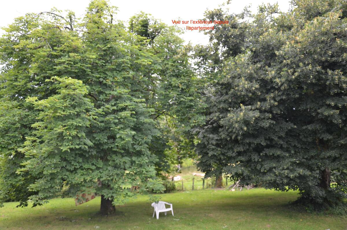 Appartement 3 chambres Orgnac-sur-Vézère, jardin clôturé - Photo 21