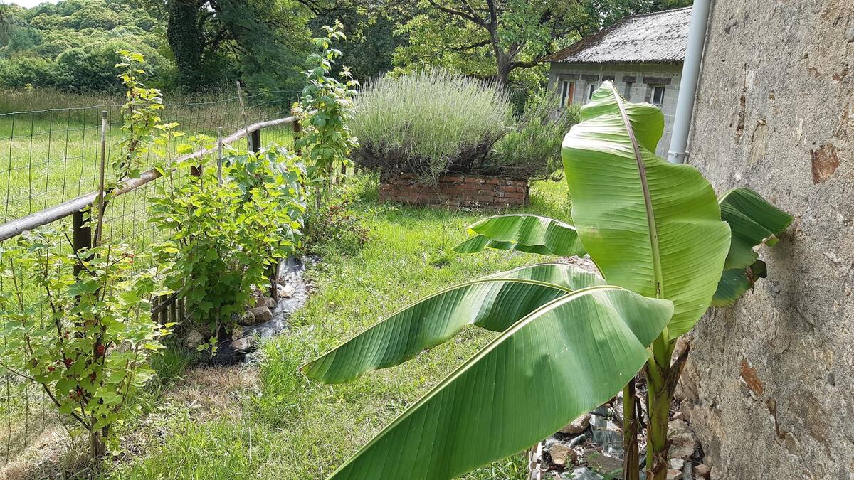 Appartement 3 chambres Orgnac-sur-Vézère, jardin clôturé - Photo 22