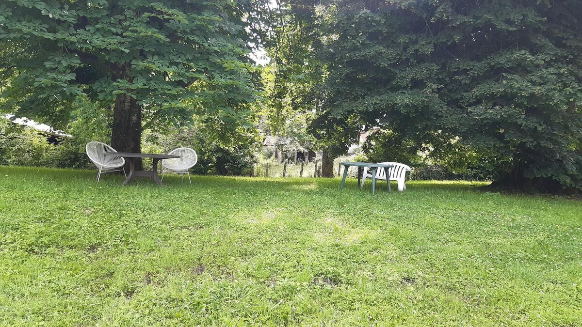 Appartement 3 chambres Orgnac-sur-Vézère, jardin clôturé - Photo 25