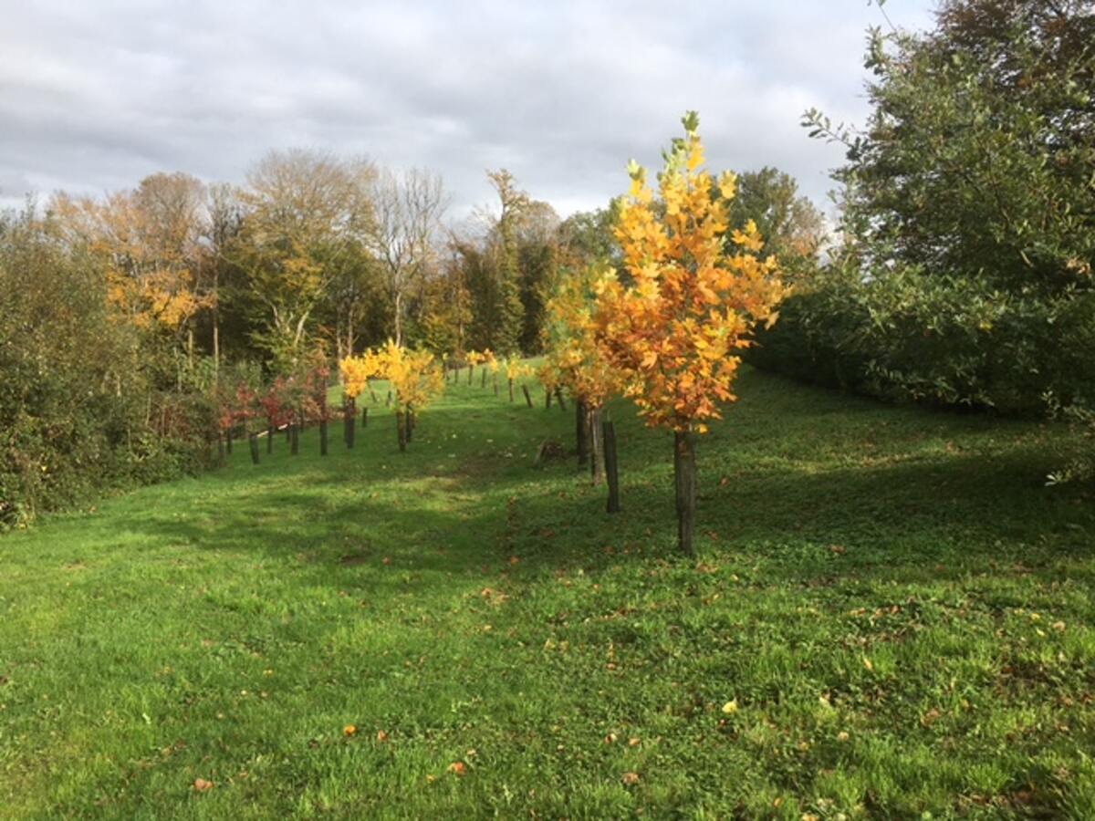 Appartement 3 chambres Orgnac-sur-Vézère, jardin clôturé - Photo 29