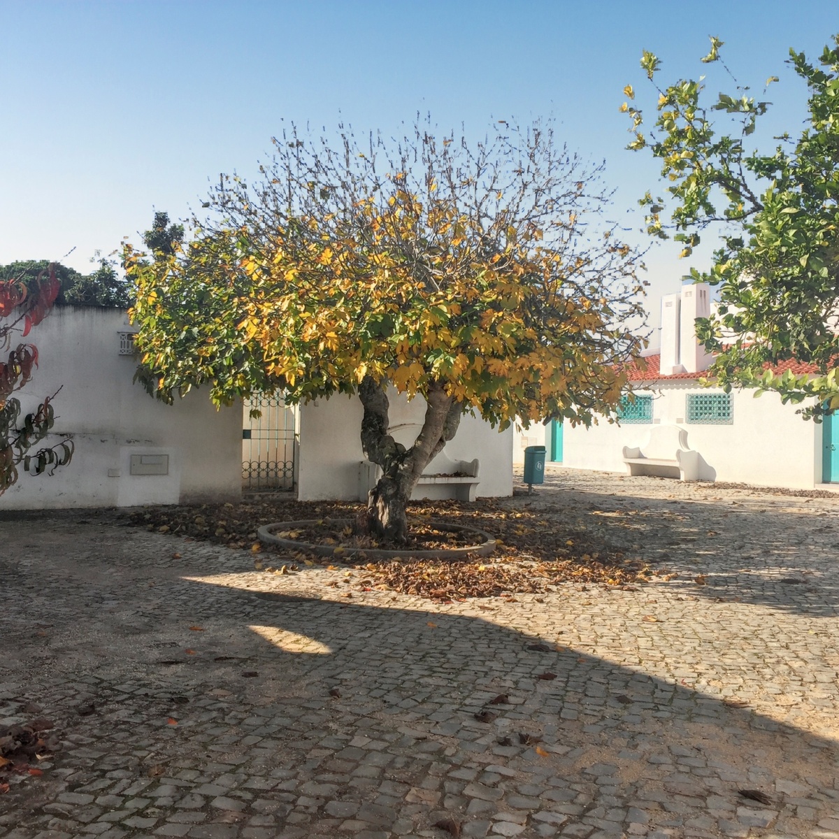 Maison 190 m² vue mer à Alvor, 8 personnes, barbecue - Photo 12