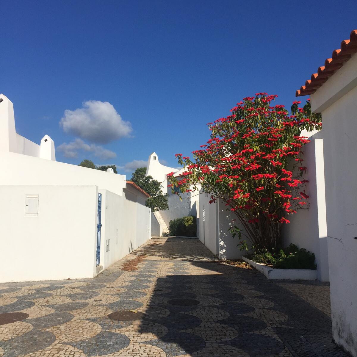 Maison 190 m² vue mer à Alvor, 8 personnes, barbecue - Photo 65
