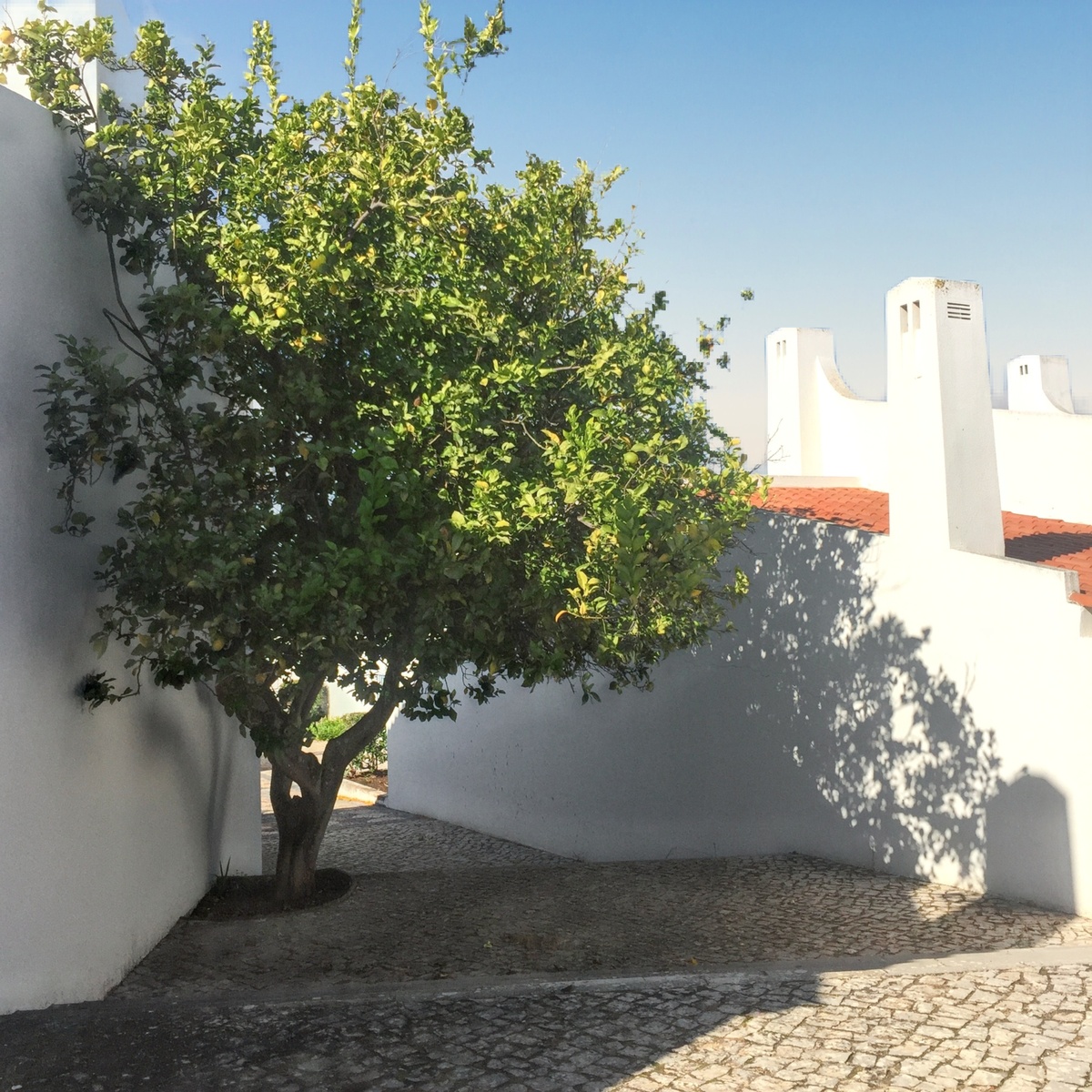 Maison 190 m² vue mer à Alvor, 8 personnes, barbecue - Photo 68