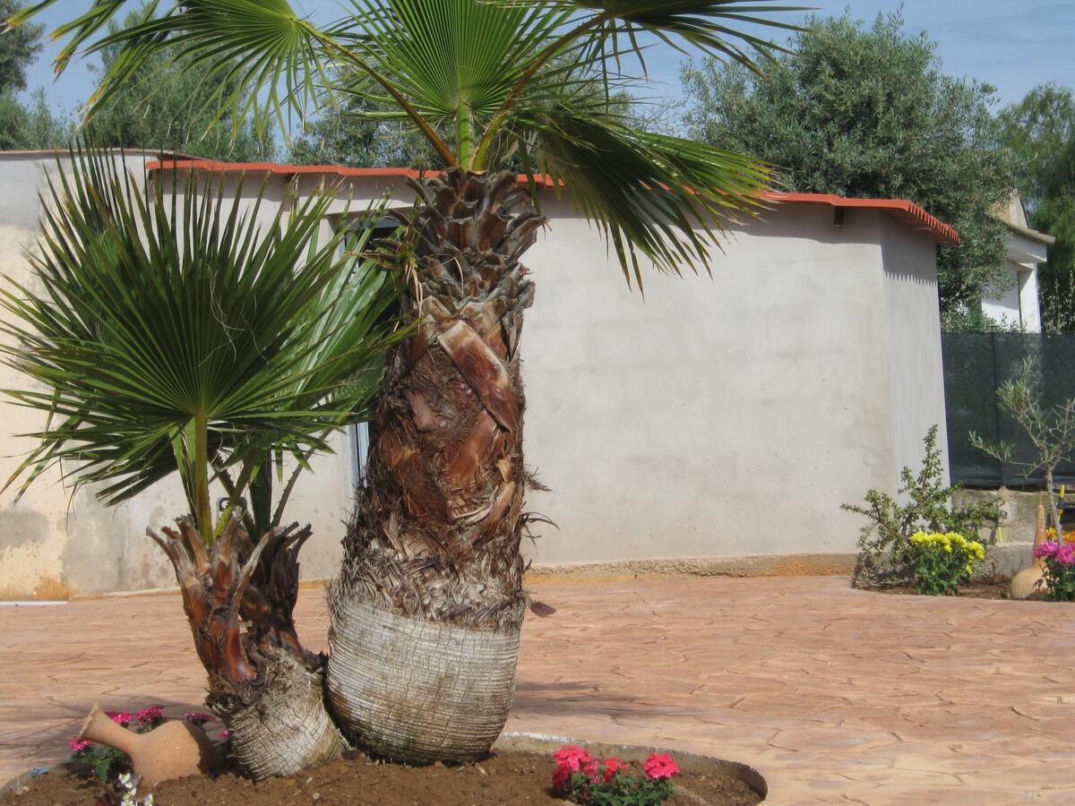 Villa 3 chambres avec piscine privée à Liria - Photo 14