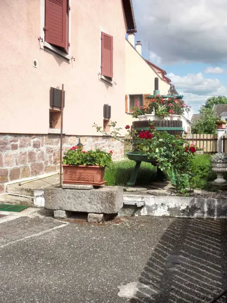 Location appartement à Kientzheim, Appartement chaleureux à Kientzheim avec terrasse couverte