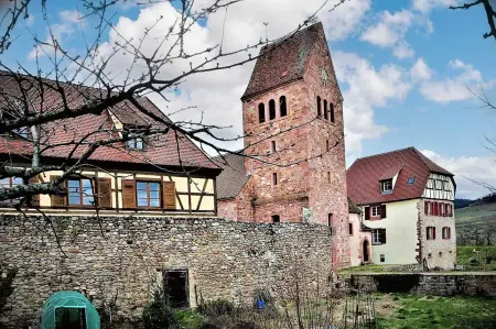 Appartement chaleureux à Kientzheim avec terrasse couverte - Photo 22