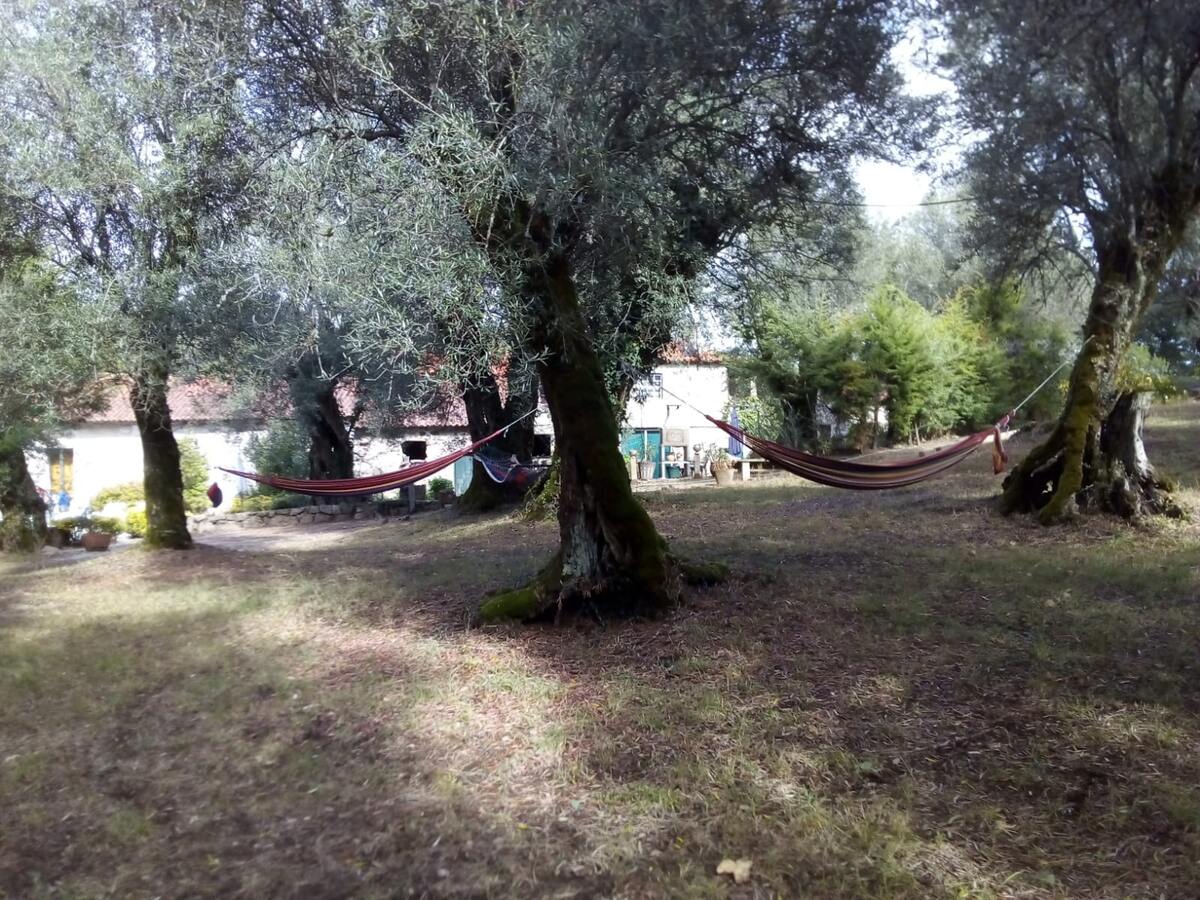 Villa 6 pers. avec piscine privée sécurisée à Basto - Photo 12